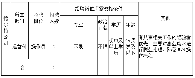 黄山德尔特科技有限公司招聘公告
